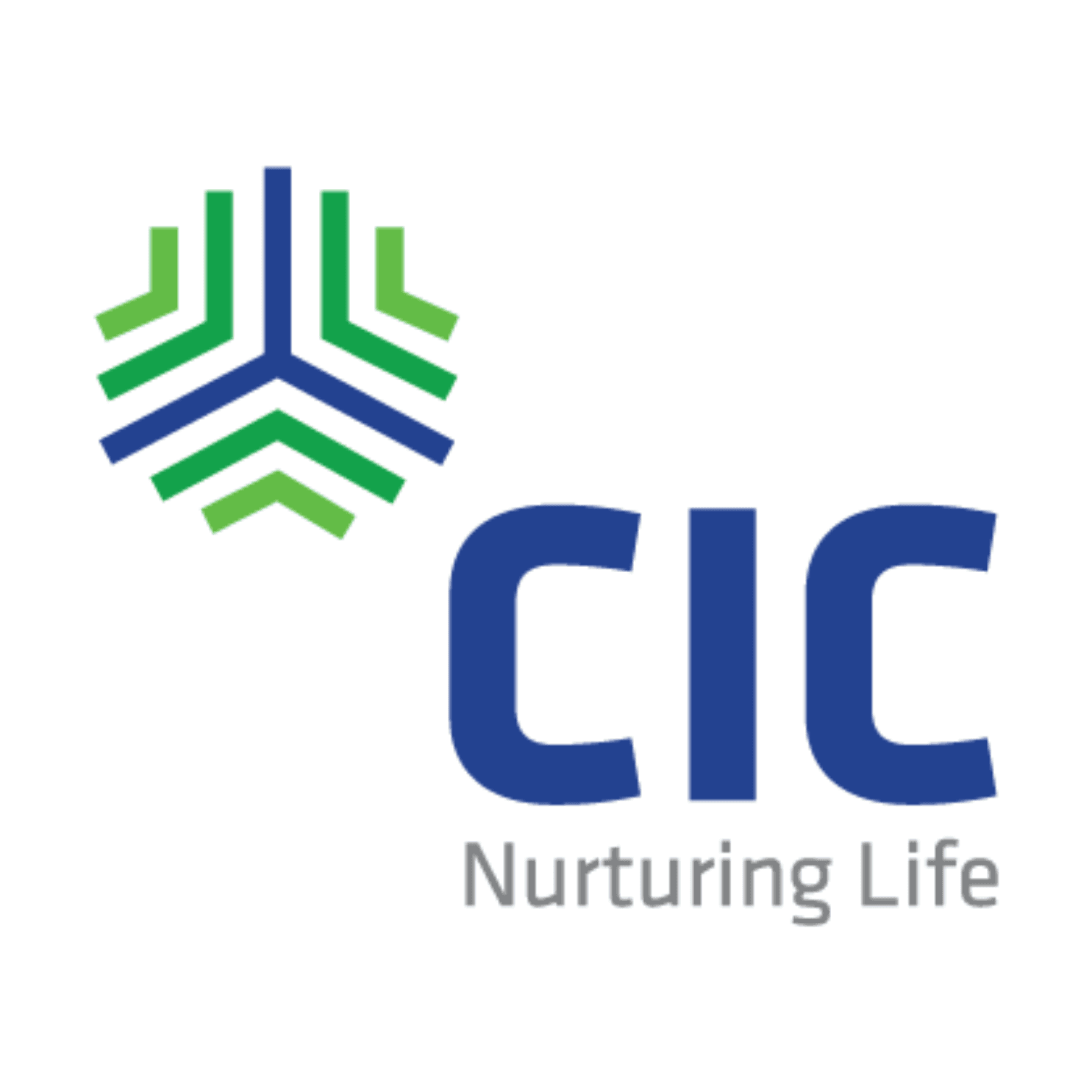 CIC Feeds