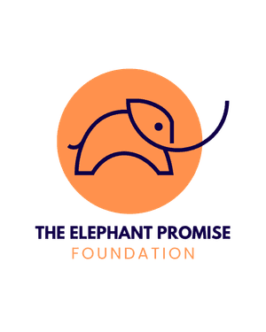 The Elephant Promise Foundation